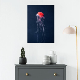 Plakat samoprzylepny Meduza w intensywnych kolorach
