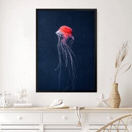 Obraz w ramie Meduza w intensywnych kolorach