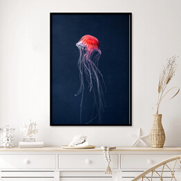 Plakat w ramie Meduza w intensywnych kolorach