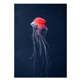 Plakat samoprzylepny Meduza w intensywnych kolorach