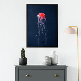 Obraz w ramie Meduza w intensywnych kolorach