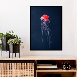 Plakat w ramie Meduza w intensywnych kolorach