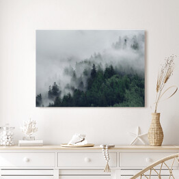 Obraz na płótnie Las na wzgórzu znikający w gęstej mgle