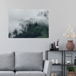 Plakat Las na wzgórzu znikający w gęstej mgle