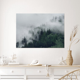 Plakat Las na wzgórzu znikający w gęstej mgle