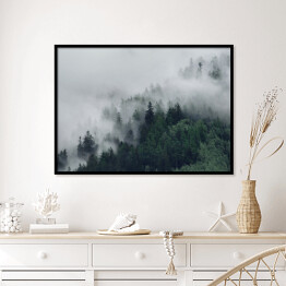 Plakat w ramie Las na wzgórzu znikający w gęstej mgle