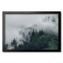 Obraz w ramie Las na wzgórzu znikający w gęstej mgle