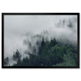 Plakat w ramie Las na wzgórzu znikający w gęstej mgle