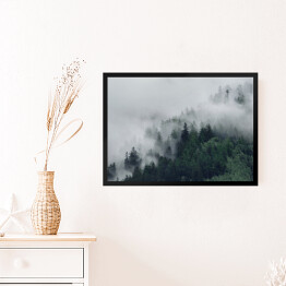 Obraz w ramie Las na wzgórzu znikający w gęstej mgle