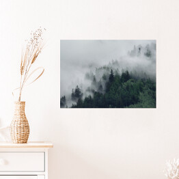 Plakat samoprzylepny Las na wzgórzu znikający w gęstej mgle