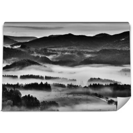 Fototapeta Górzyste tereny z lasem we mgle