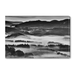 Obraz na płótnie Górzyste tereny z lasem we mgle