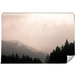 Fototapeta Zamglone wzgórza z lasem na pierwszym planie