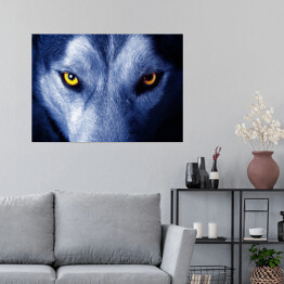 Plakat Piękne oczy dzikiego wilka
