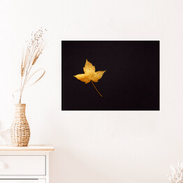 Plakat Delikatny zniszczony żółty liść