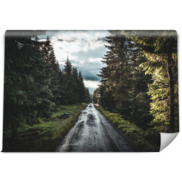 Fototapeta winylowa zmywalna Letnia deszczowa droga przez las na Sumawie, Republika Czeska