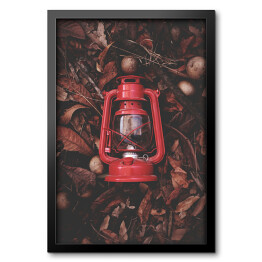 Obraz w ramie Czerwona latarenka na jesiennych liściach