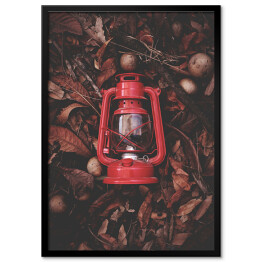 Plakat w ramie Czerwona latarenka na jesiennych liściach