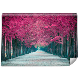Fototapeta winylowa zmywalna Różowy tunel drzewny w Korei Południowej
