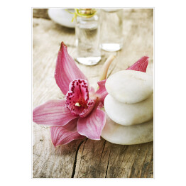 Plakat samoprzylepny Jasne kamienie do masażu i różowy piękny kwiat