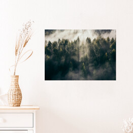 Plakat Wschód słońca nad lasem we mgle
