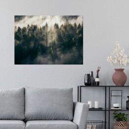 Plakat samoprzylepny Wschód słońca nad lasem we mgle