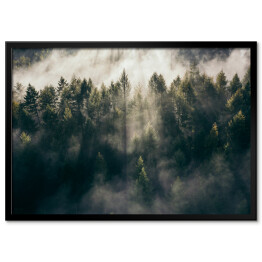Plakat w ramie Wschód słońca nad lasem we mgle