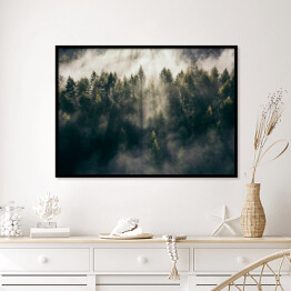 Plakat w ramie Wschód słońca nad lasem we mgle