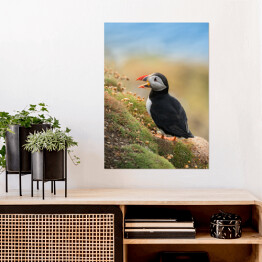 Plakat samoprzylepny Ptak maskonur na zielonej łące wśród kwiatów