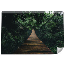 Fototapeta Drewniany most wiszący w lesie