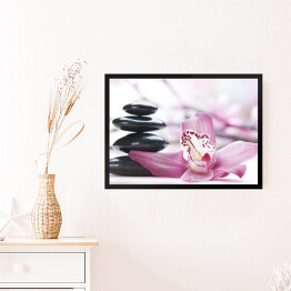 Obraz w ramie Śliskie kamienie przy jasnoróżowych kwiatach