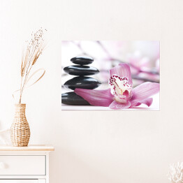 Plakat samoprzylepny Śliskie kamienie przy jasnoróżowych kwiatach