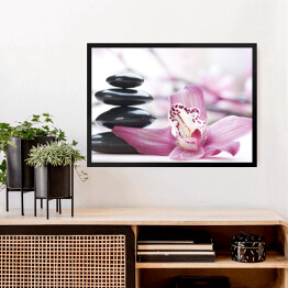 Obraz w ramie Śliskie kamienie przy jasnoróżowych kwiatach