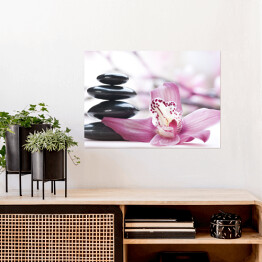 Plakat samoprzylepny Śliskie kamienie przy jasnoróżowych kwiatach