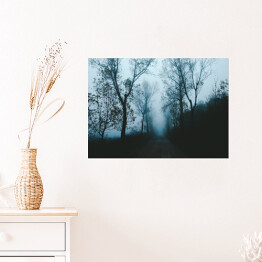 Plakat Droga wśród drzew w porannej gęstej mgle