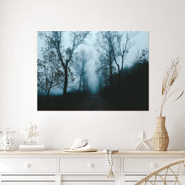 Plakat Droga wśród drzew w porannej gęstej mgle