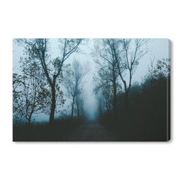 Obraz na płótnie Droga wśród drzew w porannej gęstej mgle