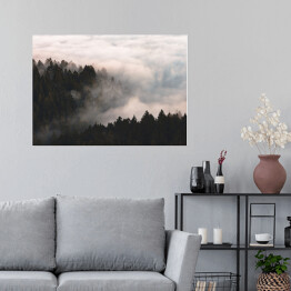 Plakat samoprzylepny Mgła nad lasem na wzgórzach