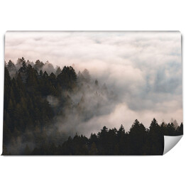 Fototapeta Mgła nad lasem na wzgórzach