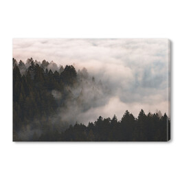 Obraz na płótnie Mgła nad lasem na wzgórzach