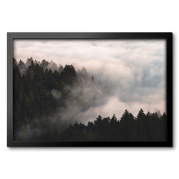 Obraz w ramie Mgła nad lasem na wzgórzach