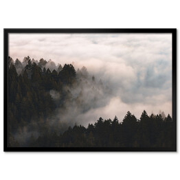 Plakat w ramie Mgła nad lasem na wzgórzach
