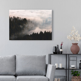 Obraz na płótnie Mgła nad lasem na wzgórzach