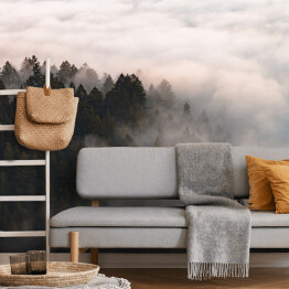 Fototapeta Mgła nad lasem na wzgórzach