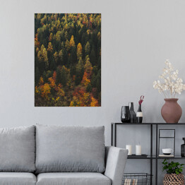Plakat samoprzylepny Las - pejzaż z początku jesieni