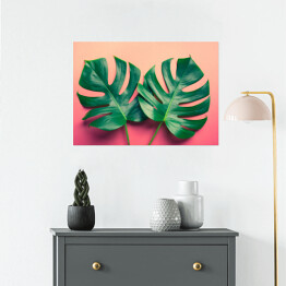 Plakat samoprzylepny Dwa liście monstery na tle w odcieniu różowego koloru