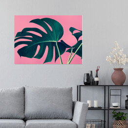 Plakat samoprzylepny Liście monstery na tle w kolorze różowym
