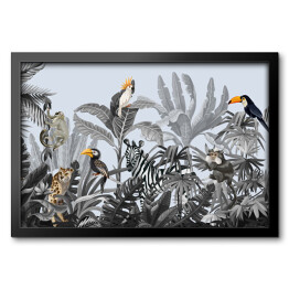 Obraz w ramie Tukany w tropikalnej dżungli w odcieniach szarości i zieleni