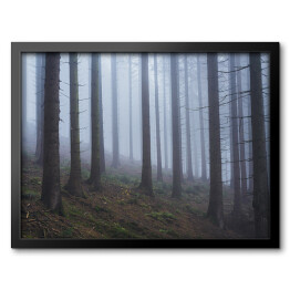 Obraz w ramie Las na wzgórzu we mgle