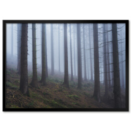Plakat w ramie Las na wzgórzu we mgle